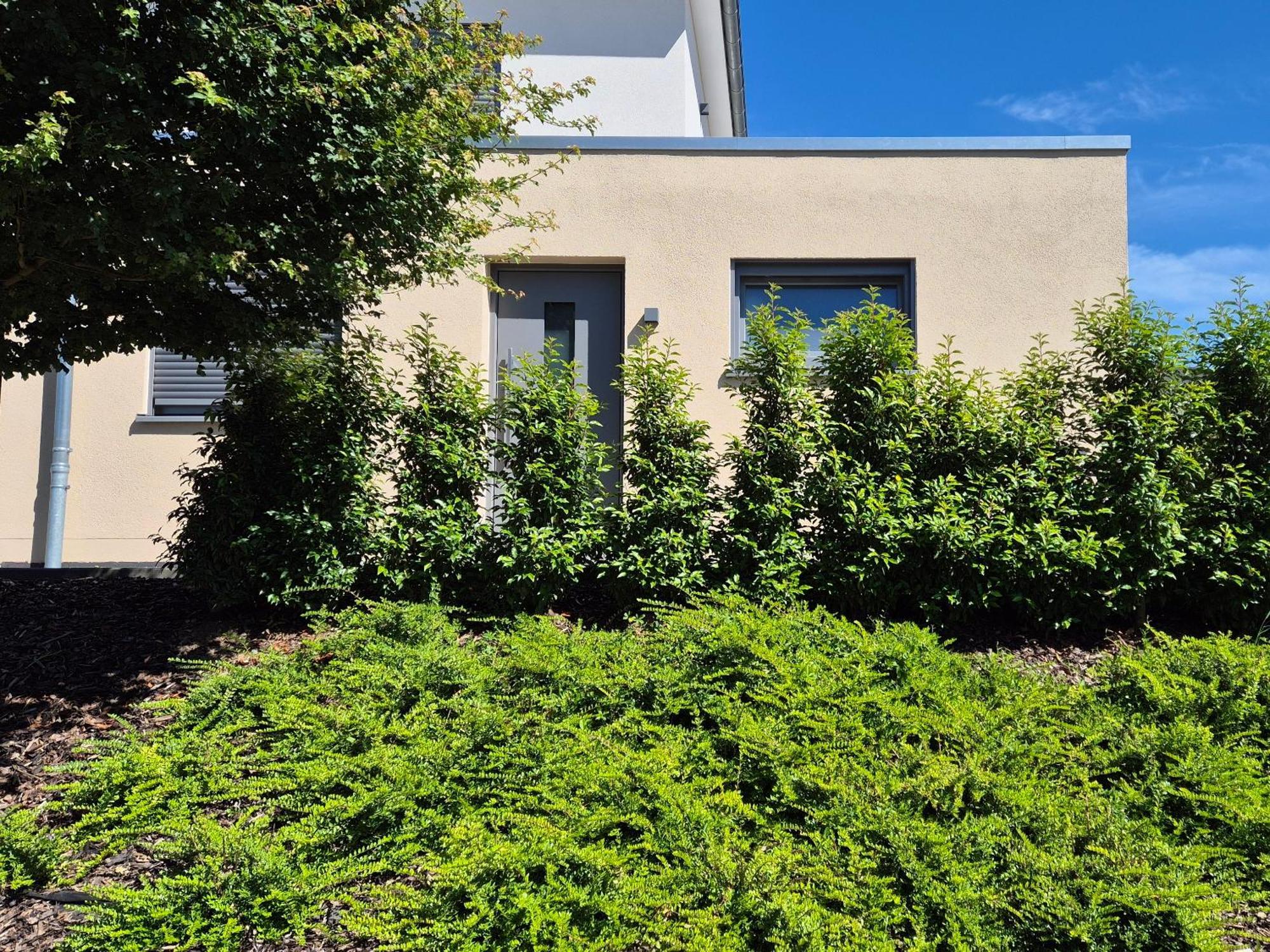 Wine & Hike Apartman Wincheringen Kültér fotó